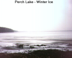 Perch Lake